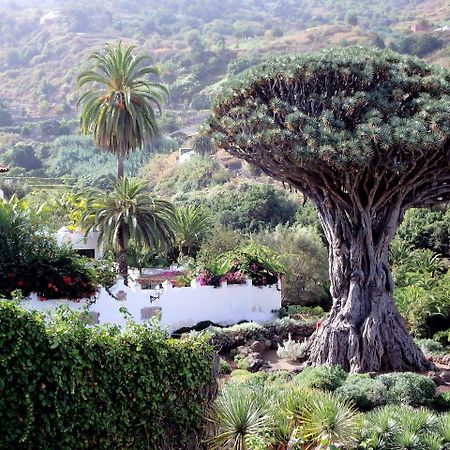 El Rincon With Teide View III Apartment Icod De Los Vinos Exterior photo